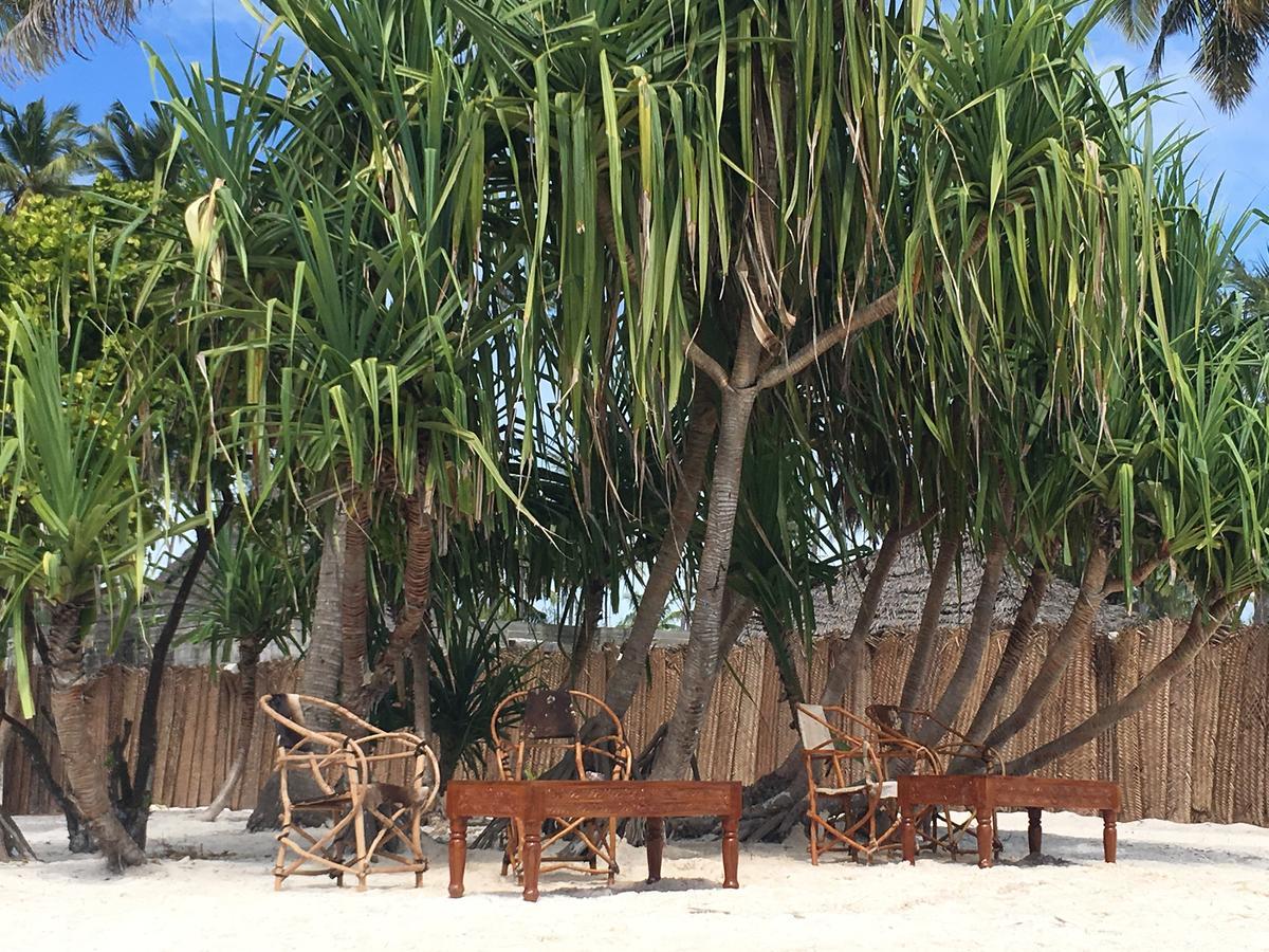 Emma Bay Beach House Michamvi エクステリア 写真
